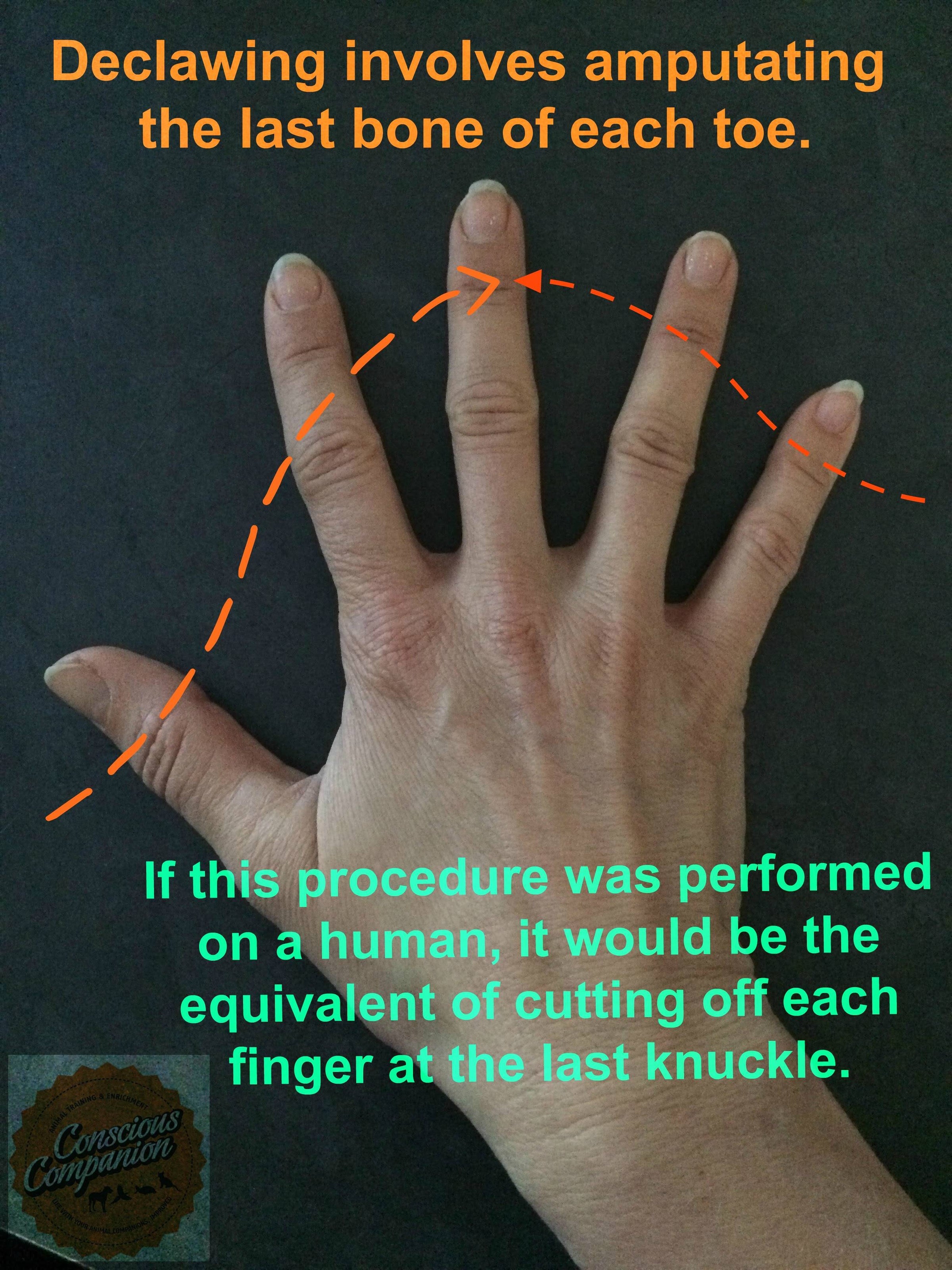 Declaw ≠ Nail Trim